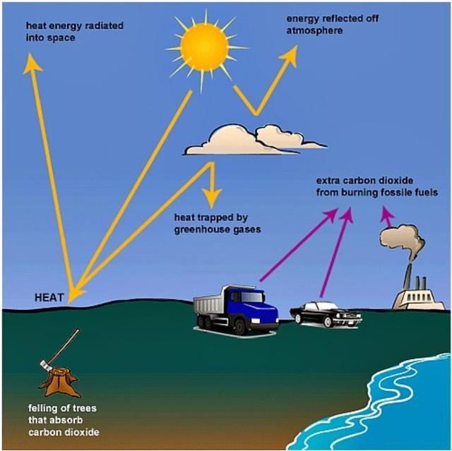 The following diagram shows how greenhouse gasses trap energy from the sun.