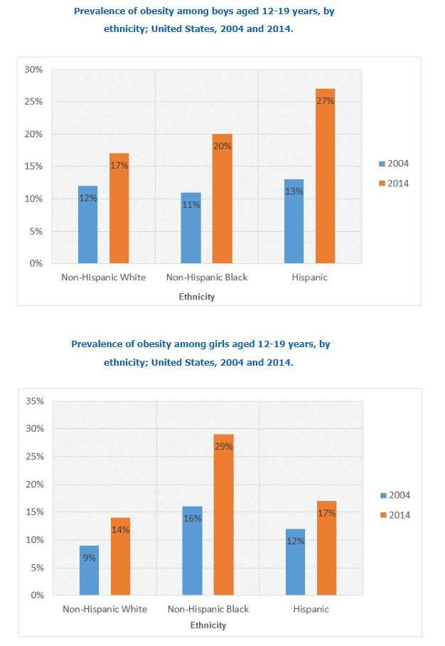 The bar charts below shows the prevalence of obesity among boys and girls aged 12 to 19 by ethnicity, in the United States for the years 2004 and 2014.