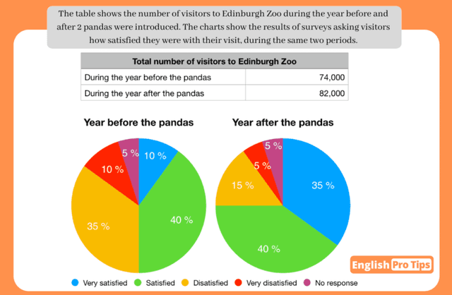 The table shows the number of visitors to Edinburgh Zoo during the year before and and after 2 pandas were introduced . The charts show the result of surveyss asking visitors how satisfied they were with their visits, during the two periods.