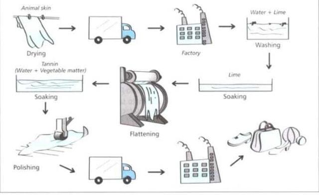 The diagram below shows how leather goods are produced. Summarize the information by selecting and reporting the main features, and making comparisons where relevant. Write at least 150 words.