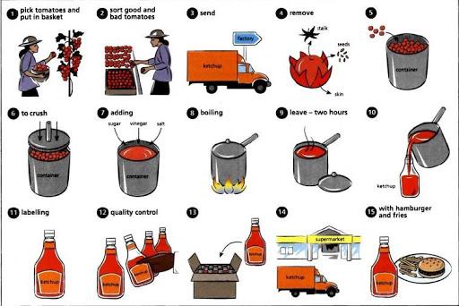 The diagram shows the process of producing tomato ketchup.