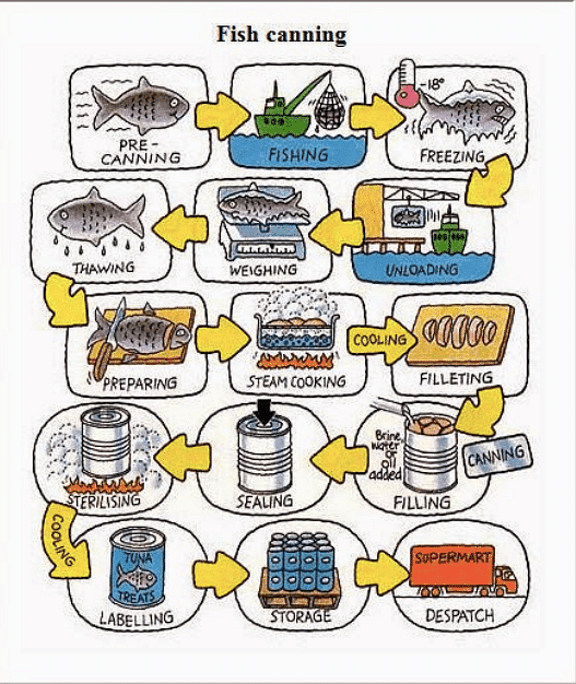 The chart below shows how fish canning is done.