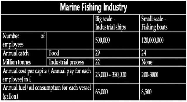 The table below compares the data for the world’s large-scale and small-scale sea fishing industries.