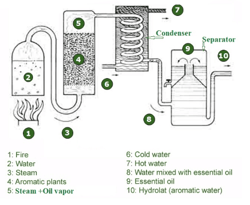 The diagram below shows how oil is expected in use of production of perfume

Summarise the information by selecting and reporting the main features, and make comparisons where relevant