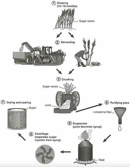 The diagram shows how sugar is processed from sugar cane.