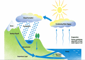 The diagram below shows the water cycle, which is the continuous movement of water on, above and below the surface of the Earth.  Summarise the information by selecting and reporting the main features, and make comparisons where relevant.   Write at least 150 words.   (20 mins.)