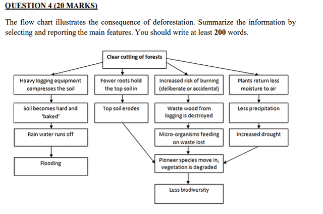 The flow chart illustrates the consequences of deforestation.

Summarise the information by selecting and reporting the main features.

Write at least 150 words.