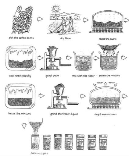 The diagram shows the process of making instant coffee. Write a report of at least 150 words showing the main features and making comparisons where relevant.