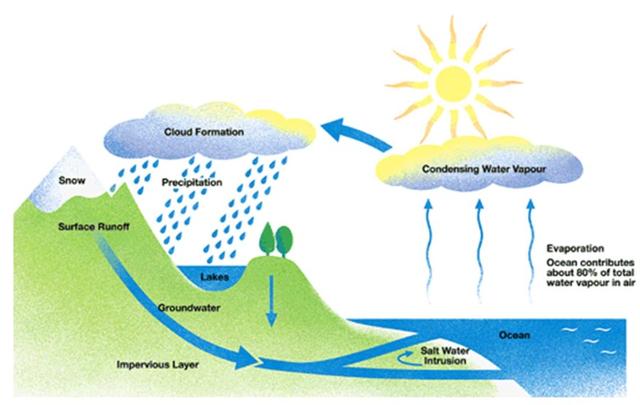 The diagram below shows the water cycle, which is the continuous movement of water on, above and below the surface of the Earth. Summarise the information by selecting and reporting the main features and make comparisons where relevant