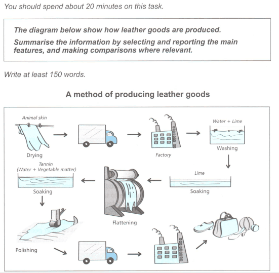 The diagram below show how leather goods are produced.
