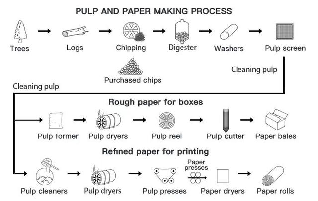 The diagram presents how pulp and paper are made. Summarize the information by selecting and reporting the main features, and make comparisons where relevant