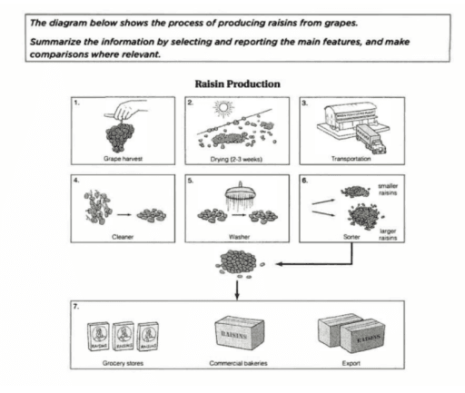 The diagram below shows the process of producing raisins from grapes ...