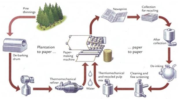 the diagram belows show the process by which paper is manufactured and recycled

summarize the information by selecting and reporting the main features, and make comparisons where relevant